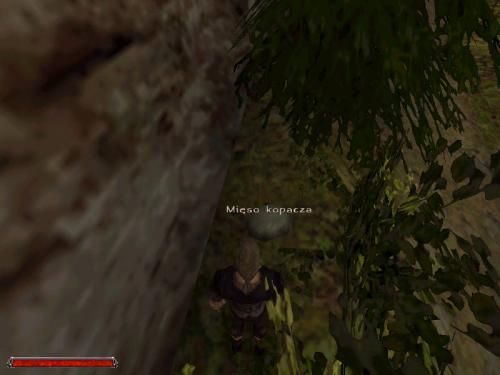 Gothic 2 000434,3
